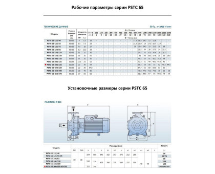 Насосный агрегат моноблочный фланцевый PURITY PSTC 65-200/220